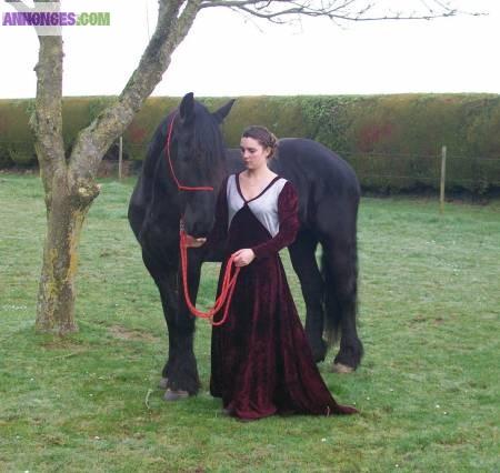 OFFRE GRATUIT JUMENT ET SON FILS POULAIN