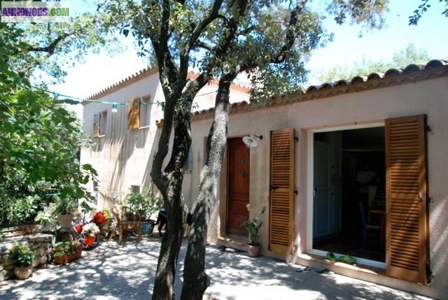 Villa provençale aux portes de Montpellier