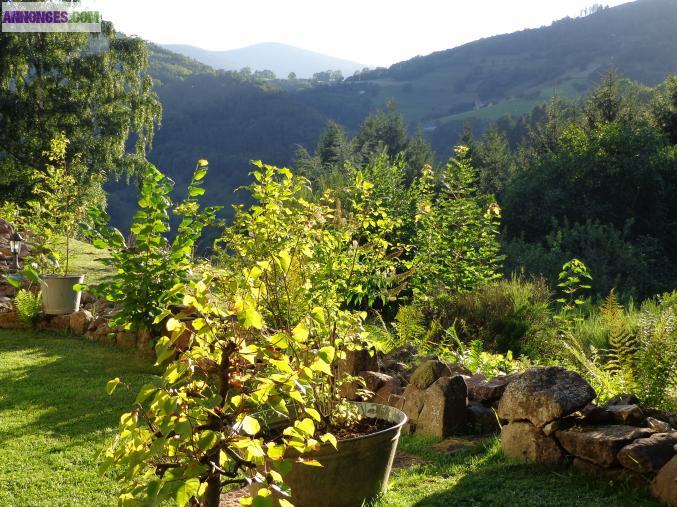 Authentique ferme vosgienne