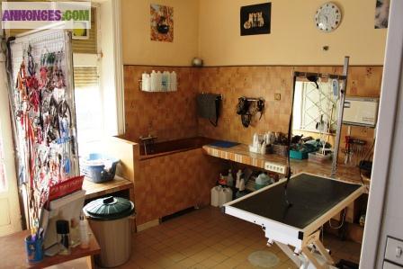 Salon Toilettage potentiel +++