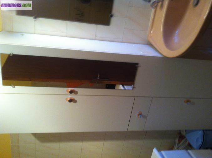 Meuble salle de bain