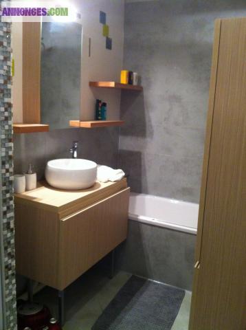 Appartement T2 style Loft à Ronchin neuf 2010 52m²