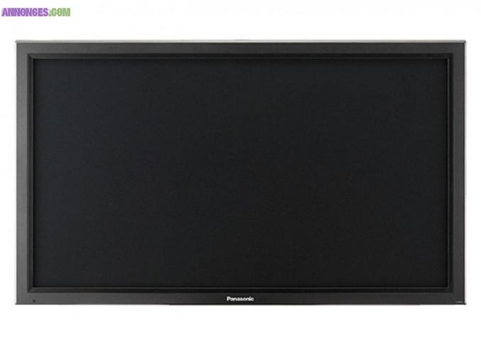 Ecran Plasma Professionnel 50"