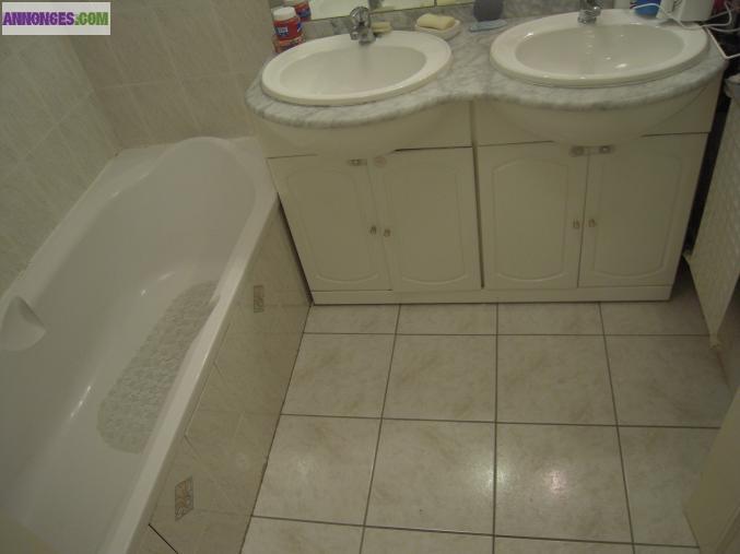 VEND T4 LUMINEUX 81M2 LA MULATIERE