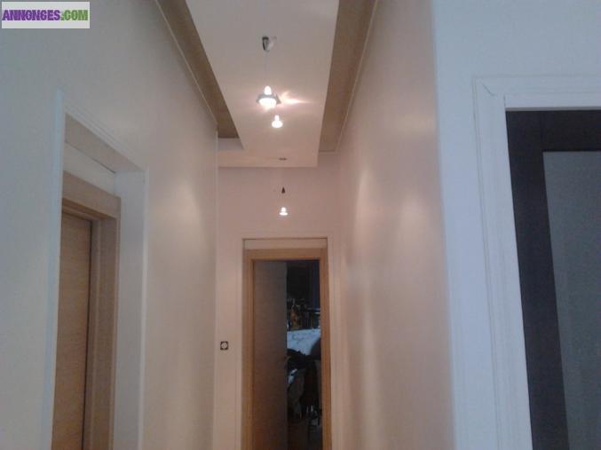 Peintre / Plaquiste / Pose de sol