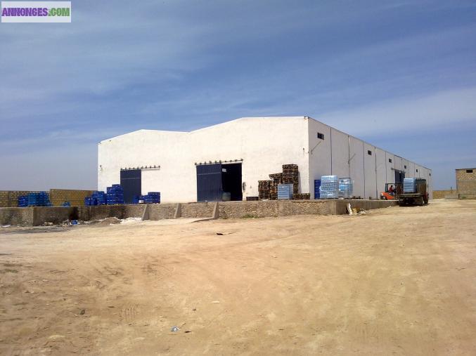 VASTES ENTREPOTS ET HANGARS A LOUER