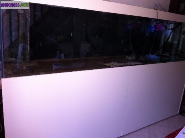 Aquarium eau de mer récifal 1240L + decantation + support