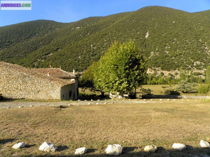 Mas provençal au pied du Ventoux