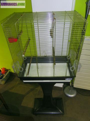 Cage à oiseaux sur pied