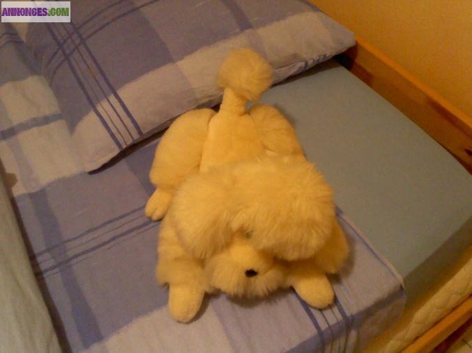 Peluche chien