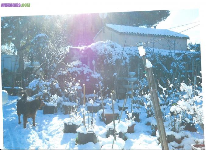 En viager occuper petit mazet vigneron