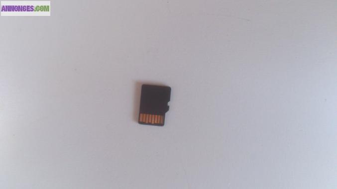 Carte micro sd 2 GO de la marque sandisk
