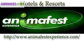 Stages rémunérés en Espagne