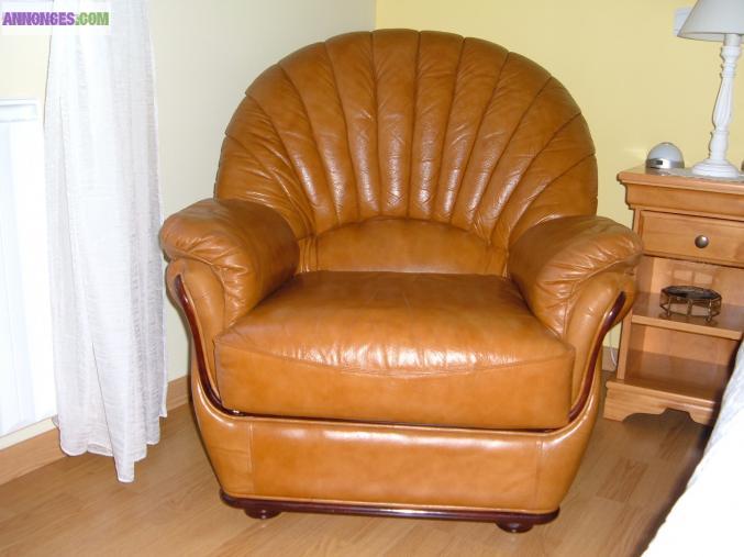 Deux fauteuils cuirs fauves