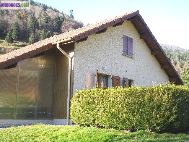 La Bresse le gd chalet tt équipé pr 10 pers proche domaine skiable