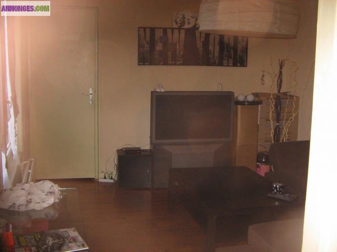 Logement coquet à 5 km sud Auxerre