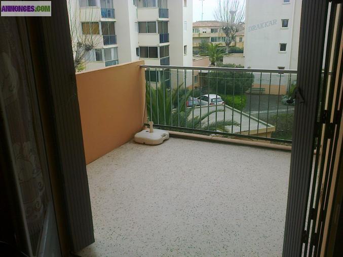 STUDIO LE GRAU DU ROI