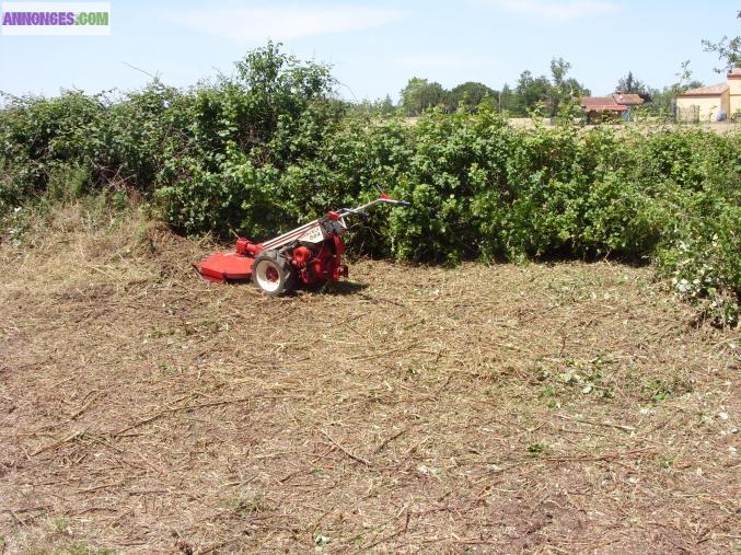 Coupe d'arbre debroussaillage de terrains