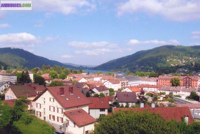 Gerardmer Superbe et Cosy Duplex avec Vue Lac