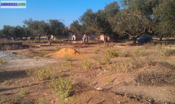 Terrain en tunisie