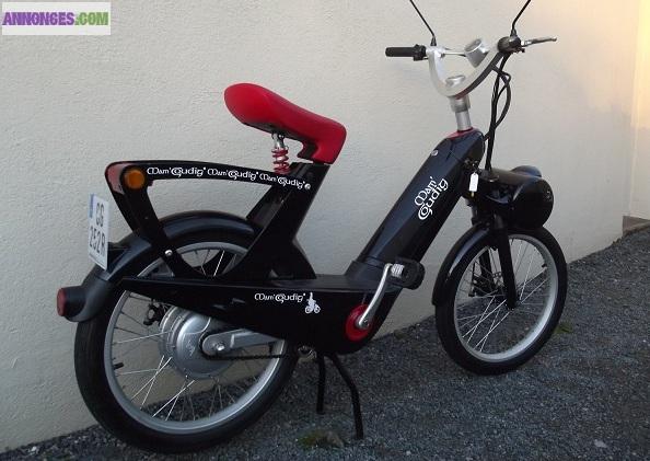 SOLEX ELECTRIQUE
