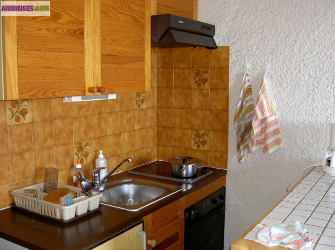 Studio 24 M2 à 05500 Laye en Champsaur