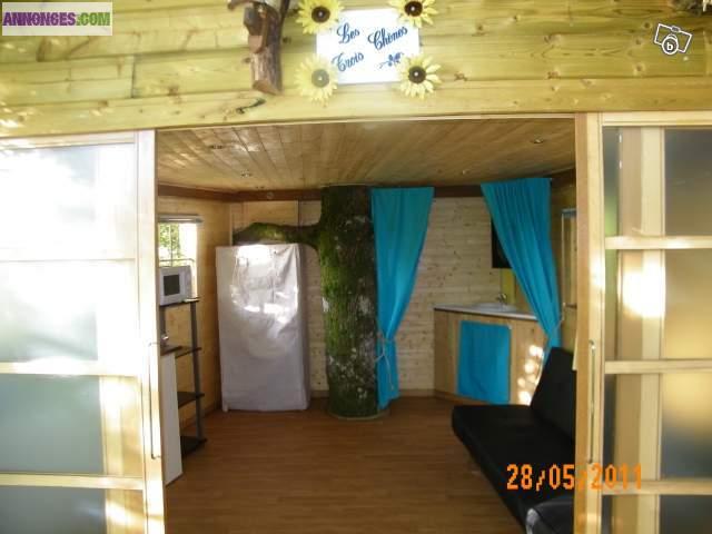 Insolite cabane dans les arbres