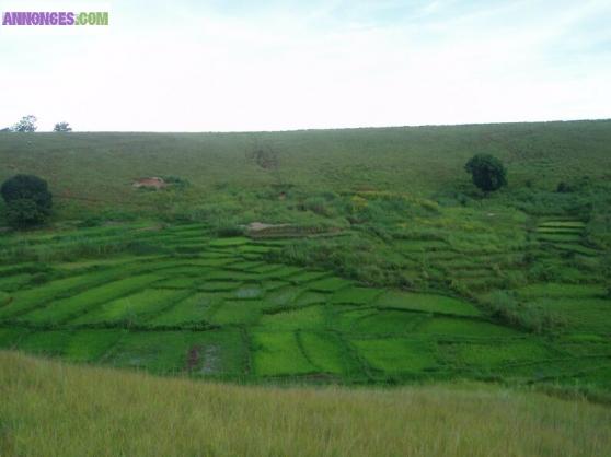 Terrain a madagascar