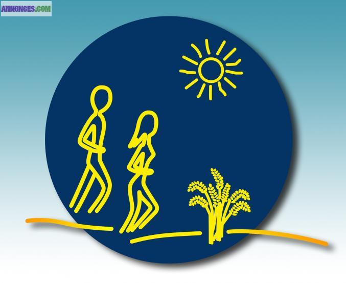 Maigrir à Wervicq-Sud avec Magali Onof diététicienne nutritionniste