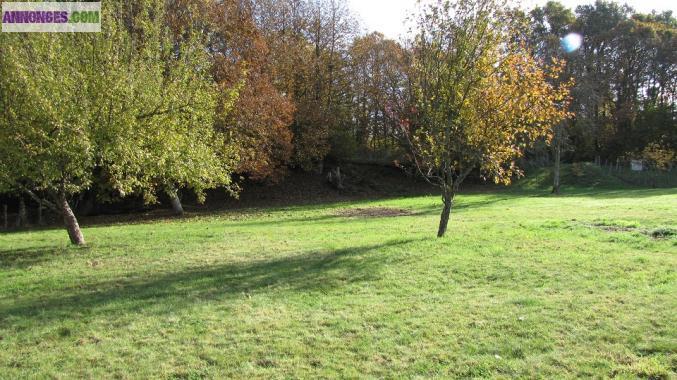 Beau terrain en Creuse
