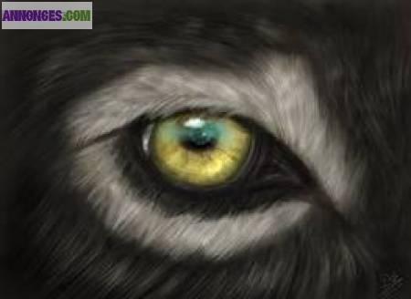 Surveillance de personne