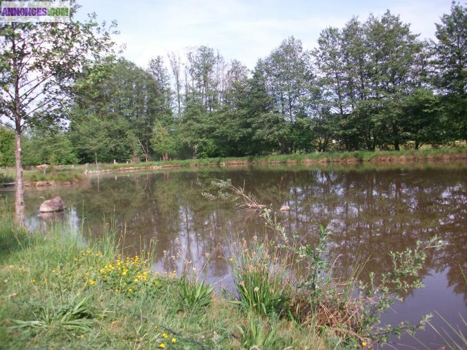 Maison haut de gamme sur 3 hectares avec etangs