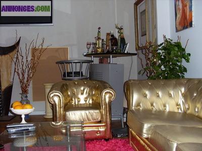 Appartement contemporain à louer