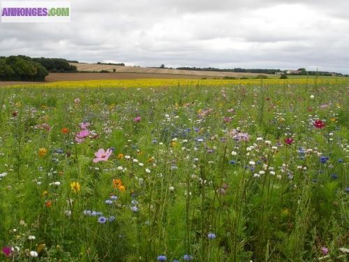 Très beau terrain à Mercurol à 5 minutes de l'entrée de l'autoroute