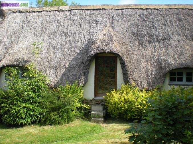 Chaumières sur 8000m²