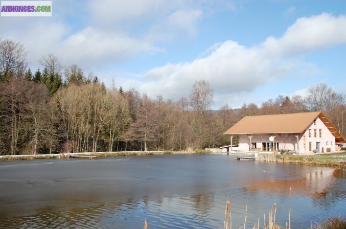 Chalet gite avec jacuzzi et étang