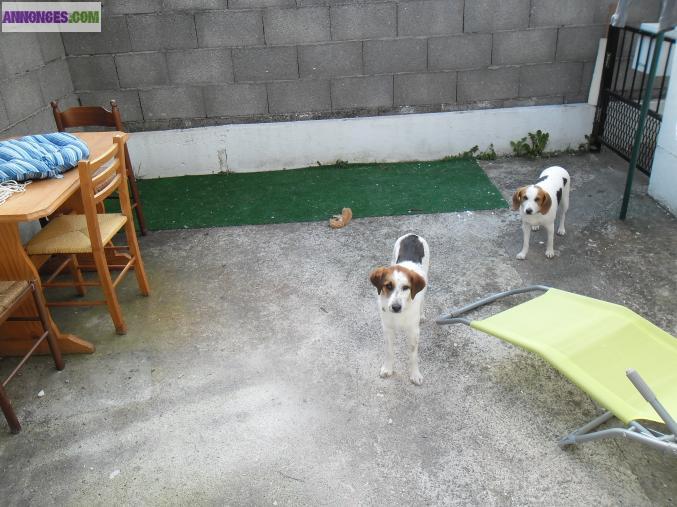 T2 45m² maison appart