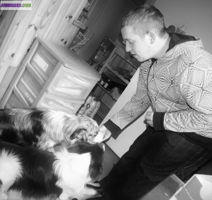 Garde animaux Angoulême