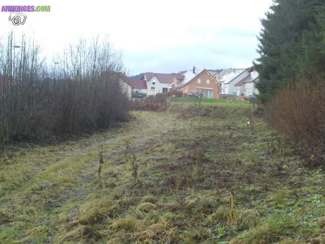 Terrain à vendre