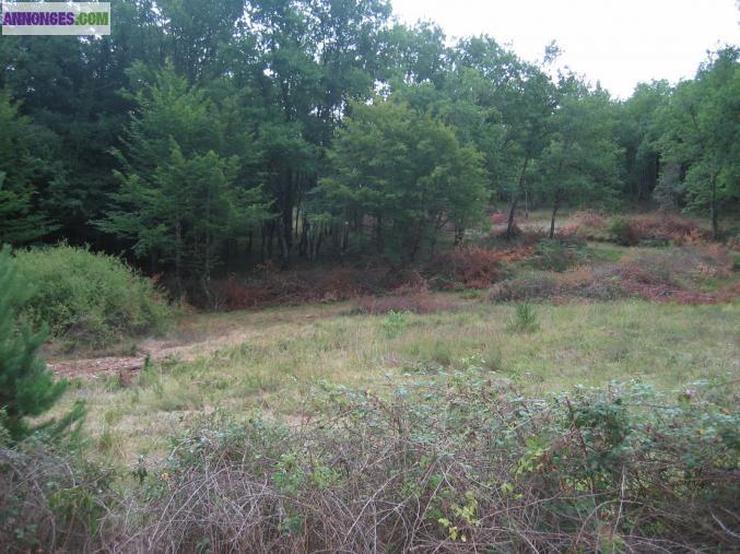TERRAIN DE 3 HA DONT 1 HA CONSTRUCTIBLE EN PERIGORD NOIR