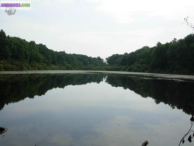 Etang et bois dans campagne bourbonnaise pour chasse-pêche & détente