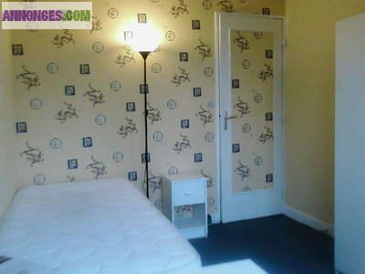 Llune chambre dans pavillon meublé