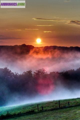 Conseiller Ind Cosmétique