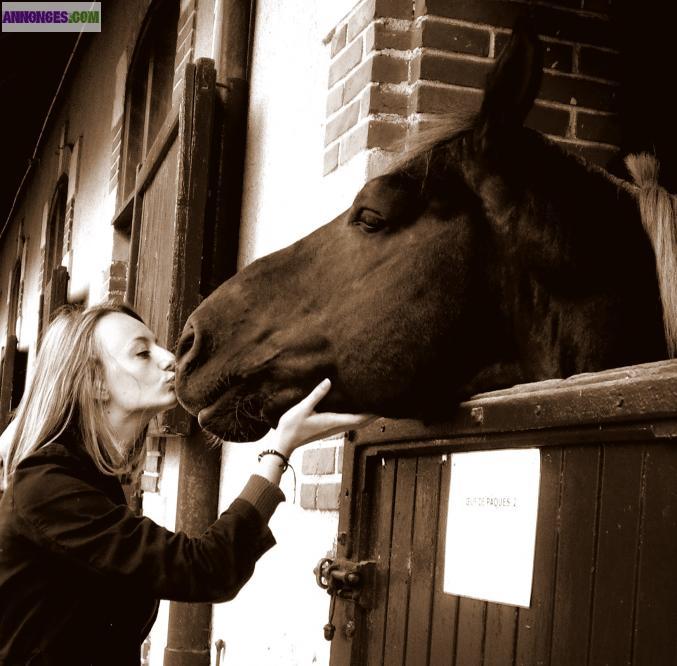Garde de vos animaux, grande disponibilité