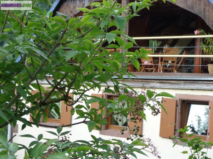 Authentique ferme vosgienne