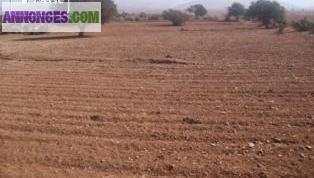 Terrain de 5640m2 au village de Chtouka ait baha (Agadir-Maroc)