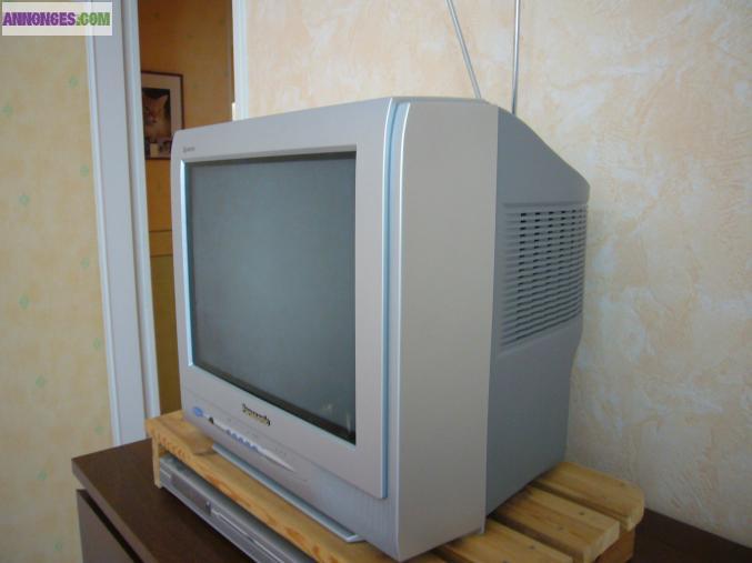 Televiseur portable panasonic