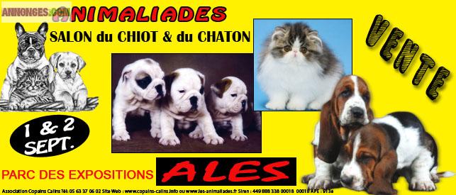 1/2 sept 2012 ALES ANIMALIADES salon des animaux parc des expos
