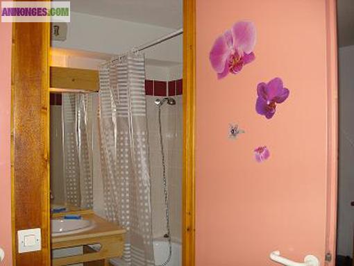 APPARTEMENT.6 PERS VALMEINIER 1800