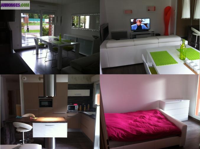 Appartement T2 style Loft à Ronchin neuf 2010 52m²